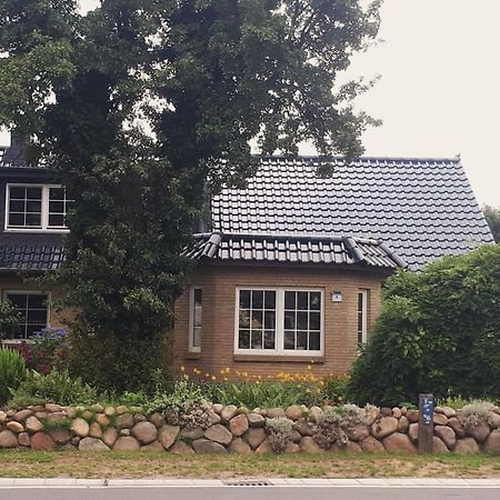 Ferienwohnung Hinz - Gemuetliche Unterkunft Fuer 2 Personen Mit Modernem Bad Ellingstedt Ngoại thất bức ảnh